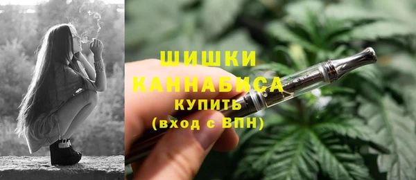 СК Кострома