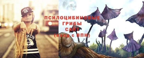 соль курить ск Краснослободск