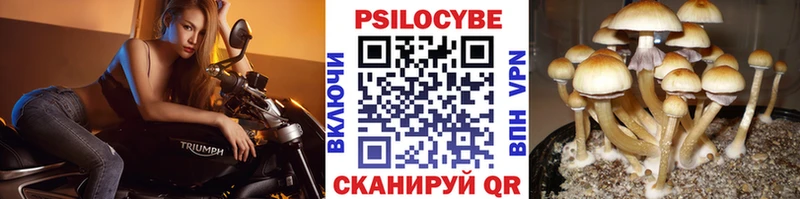 Псилоцибиновые грибы ЛСД  Купить где  Карасук 